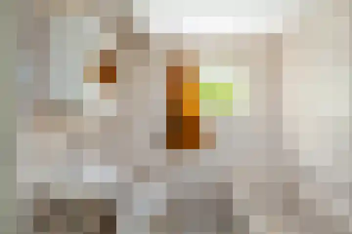 Capelseweg 496 Rotterdam thumbnail 33