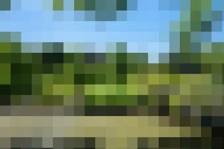 Capelseweg 496 Rotterdam thumbnail 47