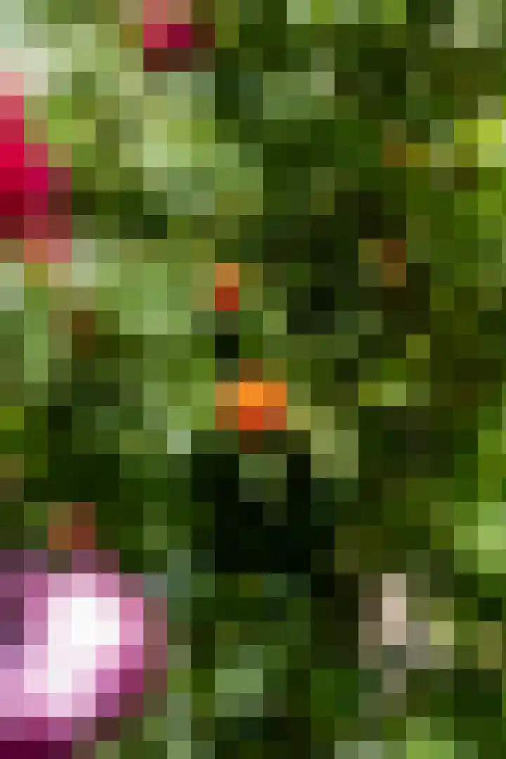 Capelseweg 496 Rotterdam thumbnail 64