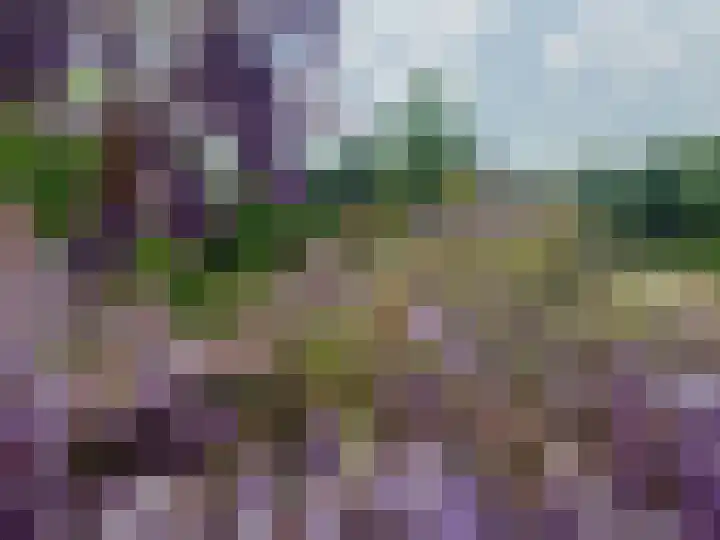 Capelseweg 496 Rotterdam thumbnail 72