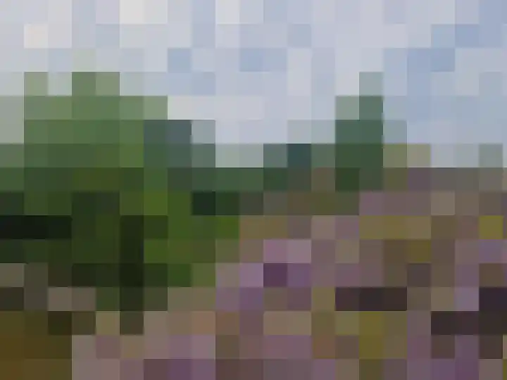 Capelseweg 496 Rotterdam thumbnail 74