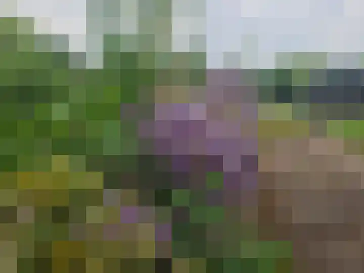 Capelseweg 496 Rotterdam thumbnail 77