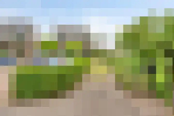 Capelseweg 518 Rotterdam thumbnail 5