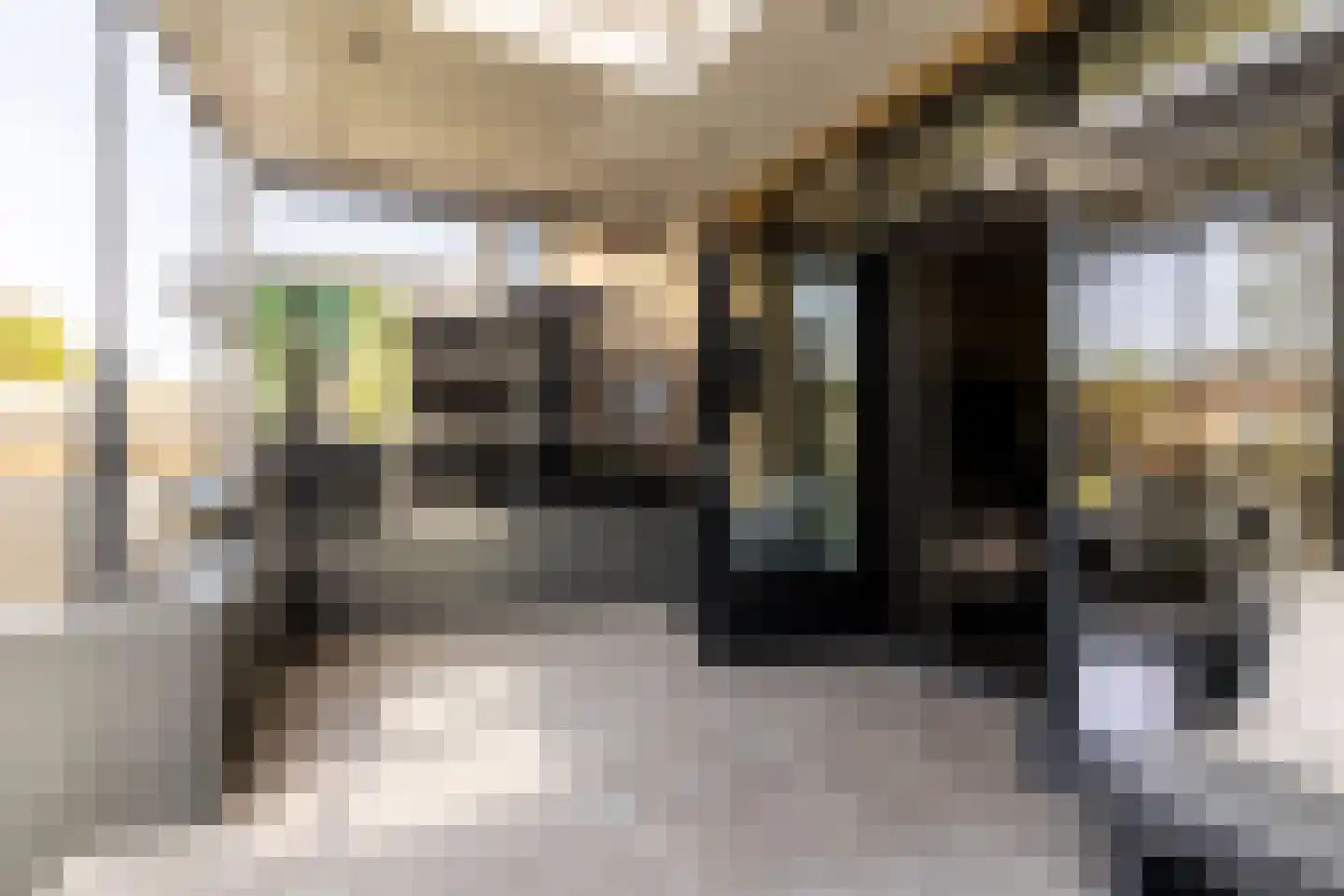 Capelseweg 534 Rotterdam thumbnail 14