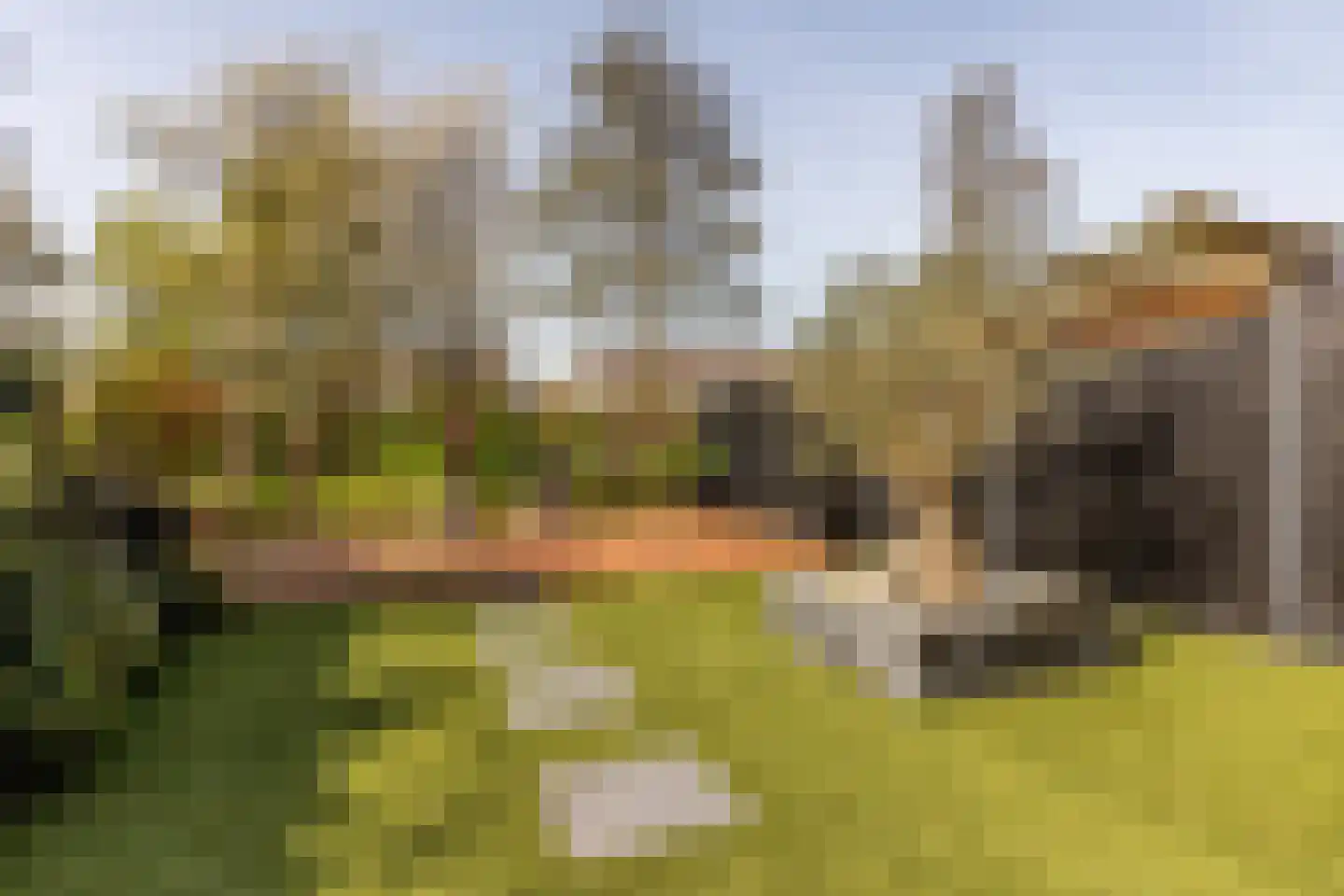 Capelseweg 534 Rotterdam thumbnail 16
