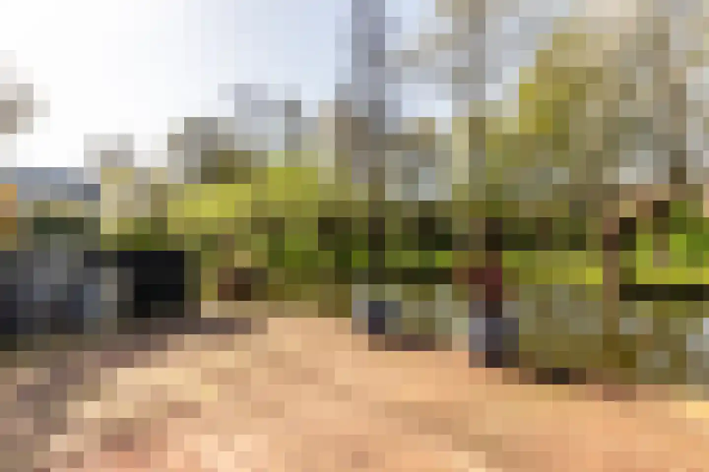 Capelseweg 534 Rotterdam thumbnail 17