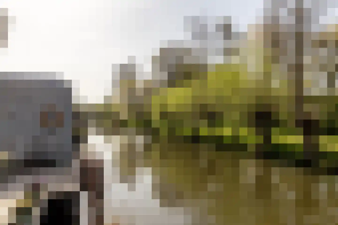 Capelseweg 534 Rotterdam thumbnail 18