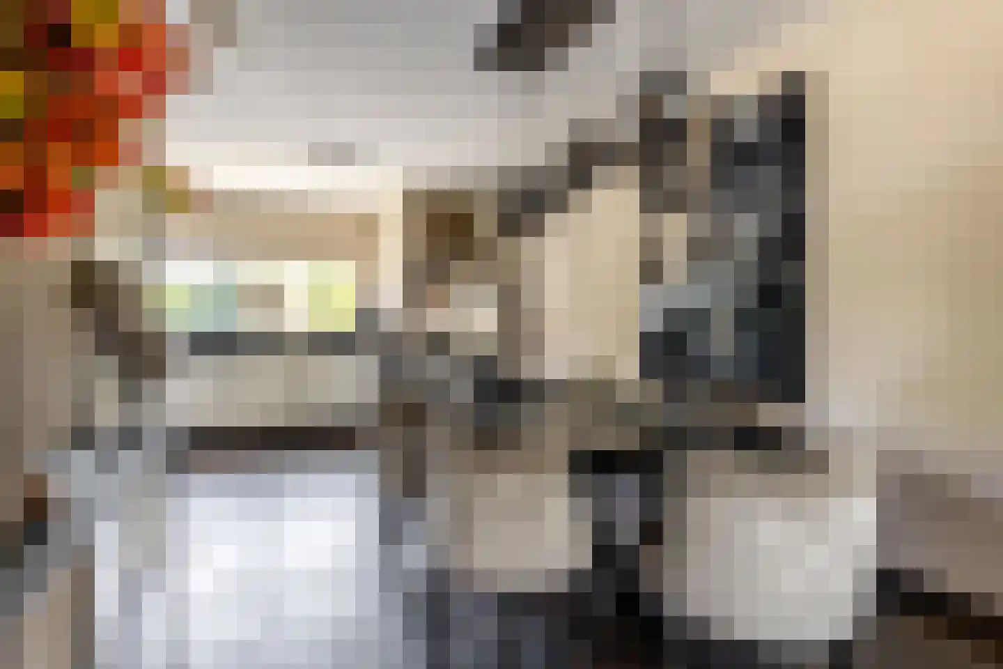 Capelseweg 534 Rotterdam thumbnail 21