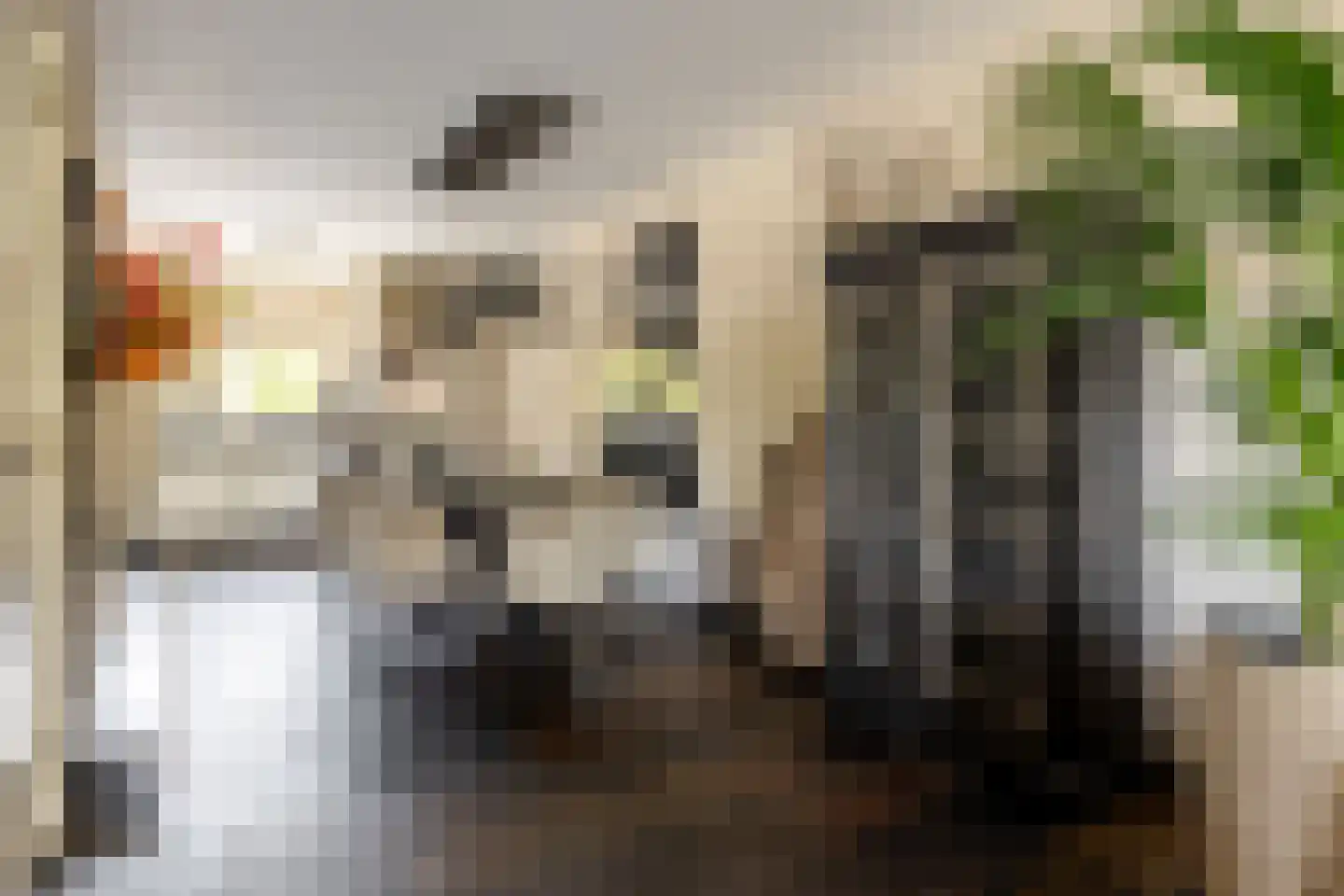 Capelseweg 534 Rotterdam thumbnail 23
