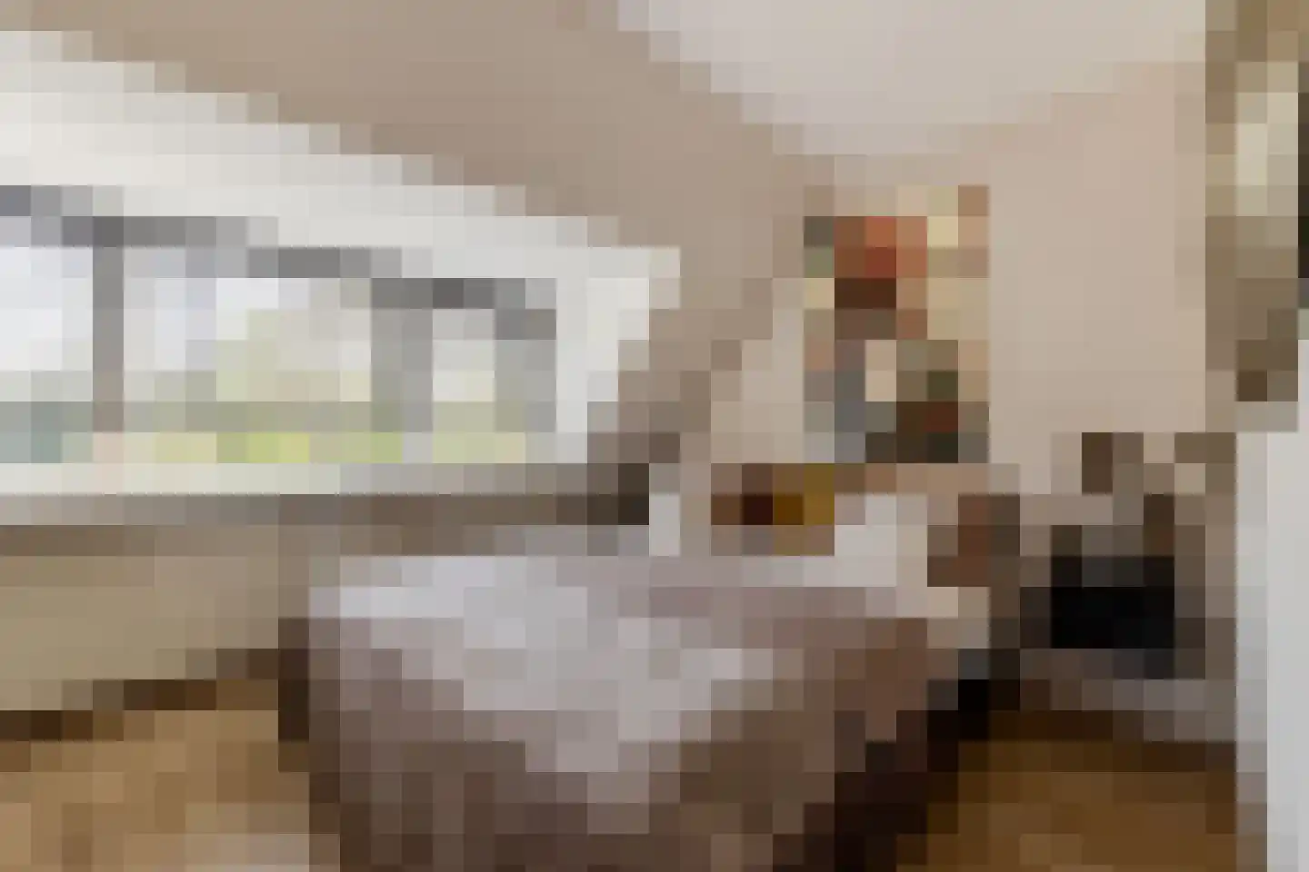Capelseweg 534 Rotterdam thumbnail 30