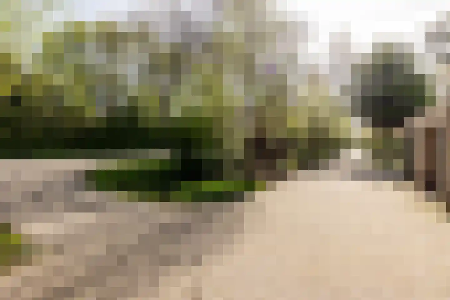 Capelseweg 534 Rotterdam thumbnail 40
