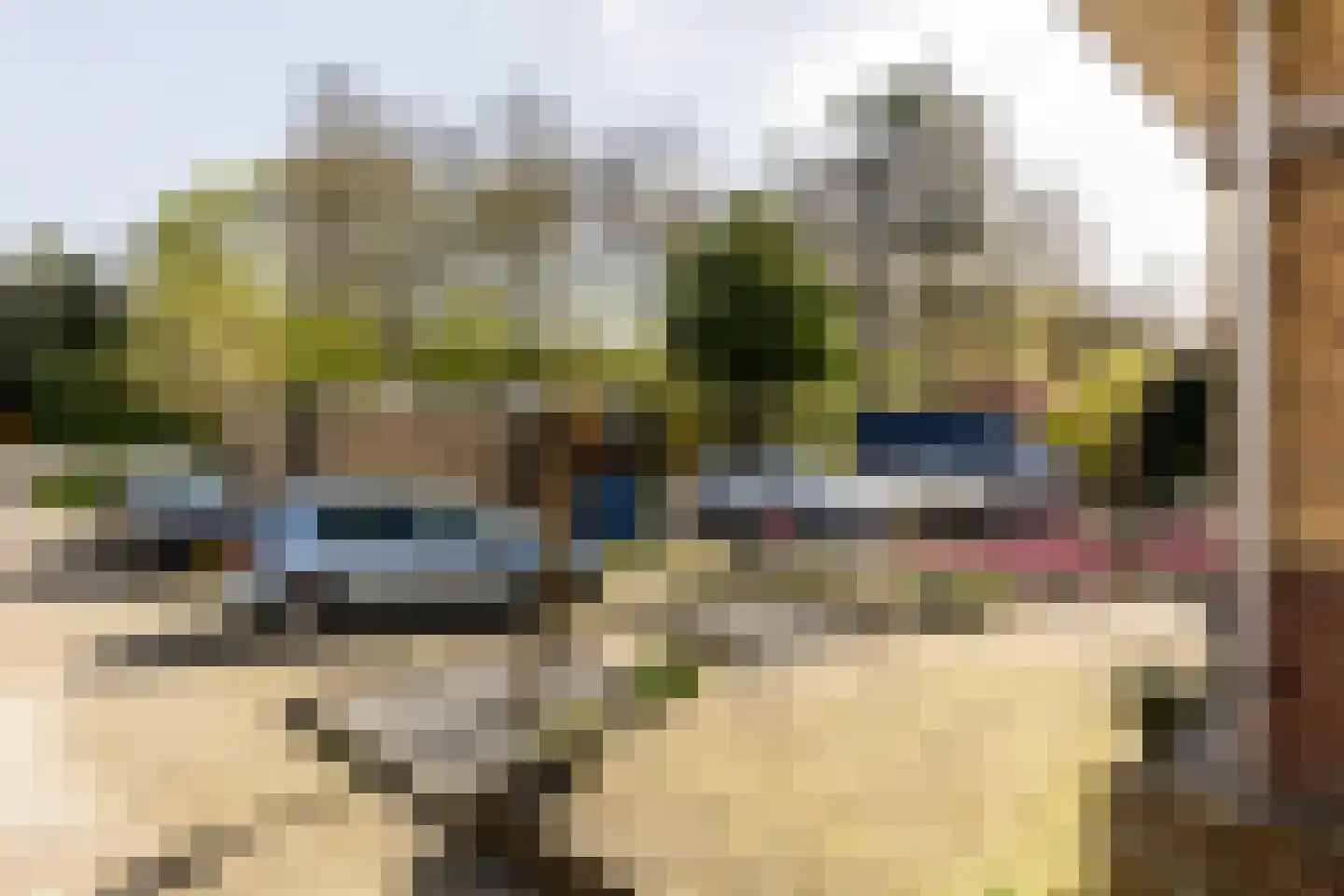 Capelseweg 534 Rotterdam thumbnail 42