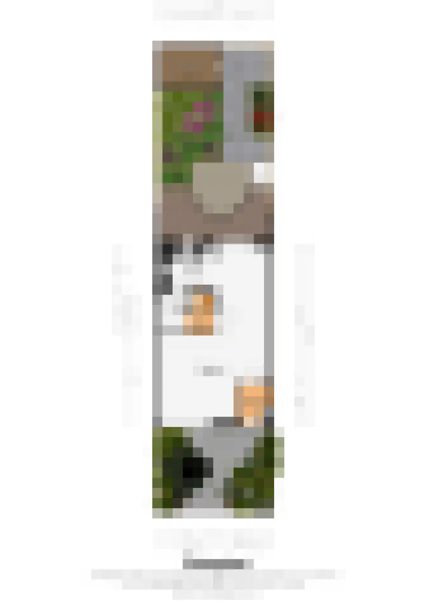 Capitoolhof 8 Maastricht thumbnail 30