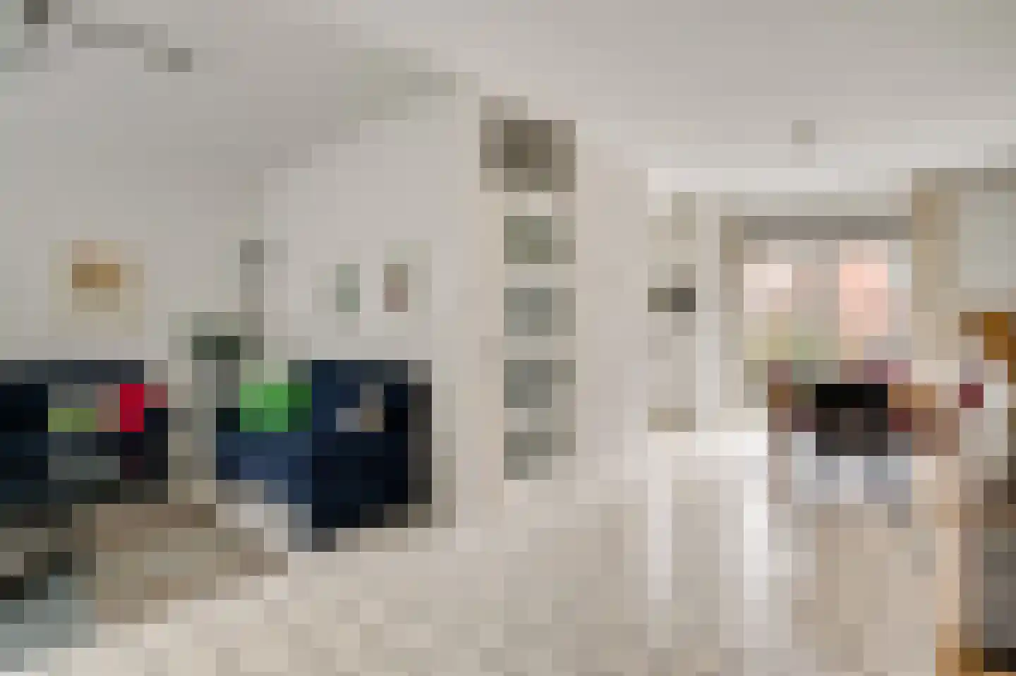 Capitoolhof 8 Maastricht thumbnail 6