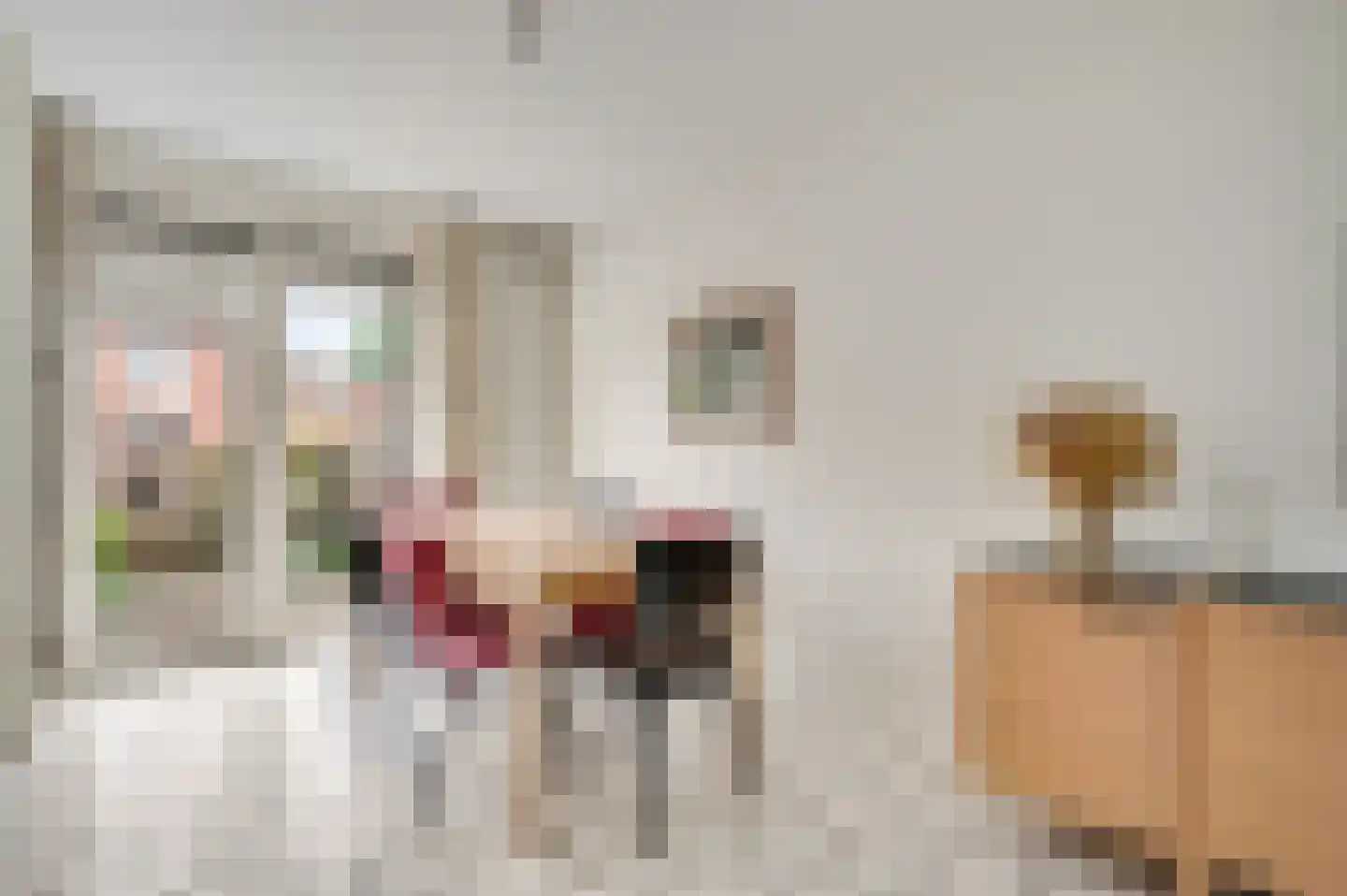 Capitoolhof 8 Maastricht thumbnail 7
