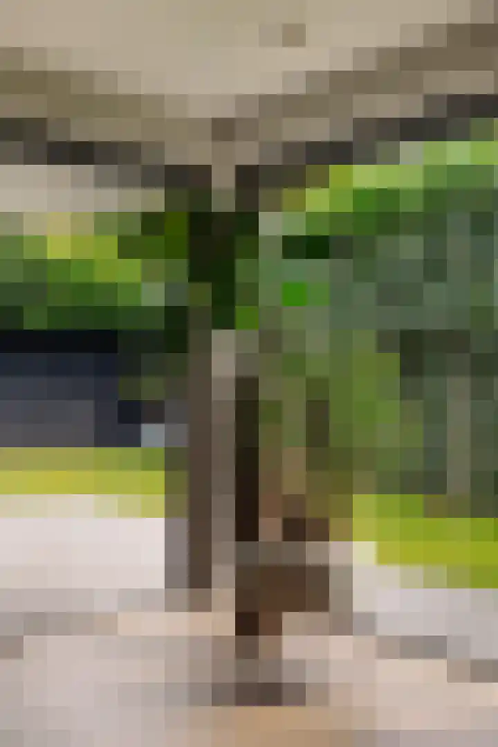 Capittenweg 25 Blaricum thumbnail 14