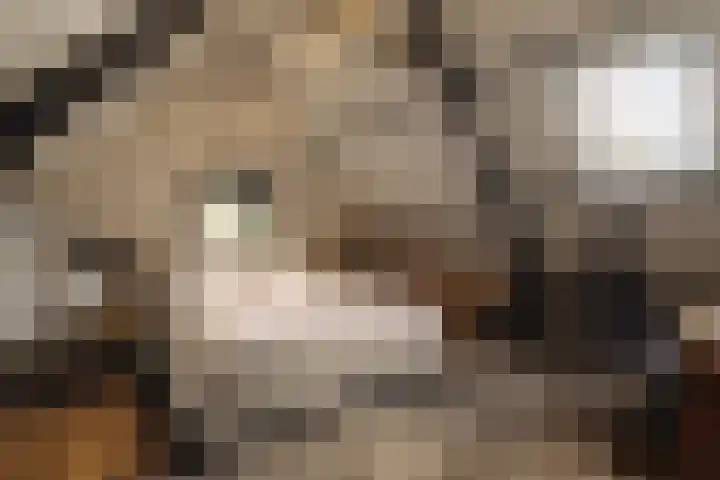 Capittenweg 25 Blaricum thumbnail 19
