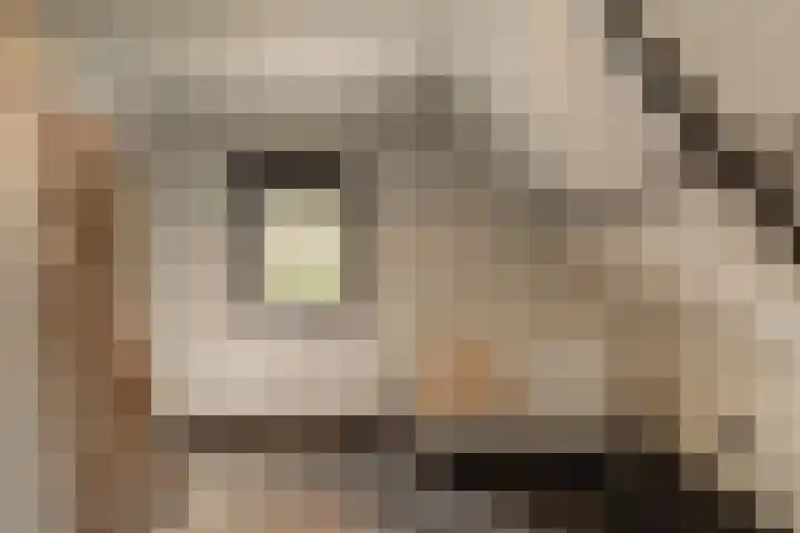 Capittenweg 25 Blaricum thumbnail 21