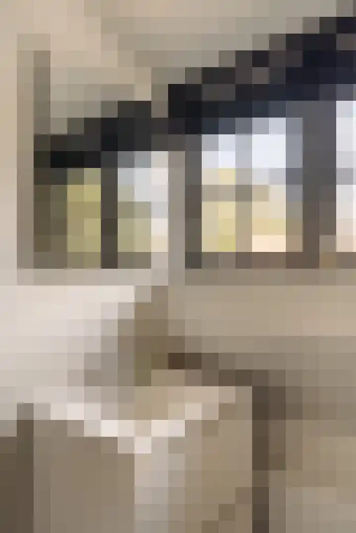 Capittenweg 25 Blaricum thumbnail 24