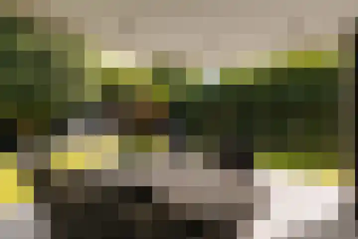 Capittenweg 25 Blaricum thumbnail 27