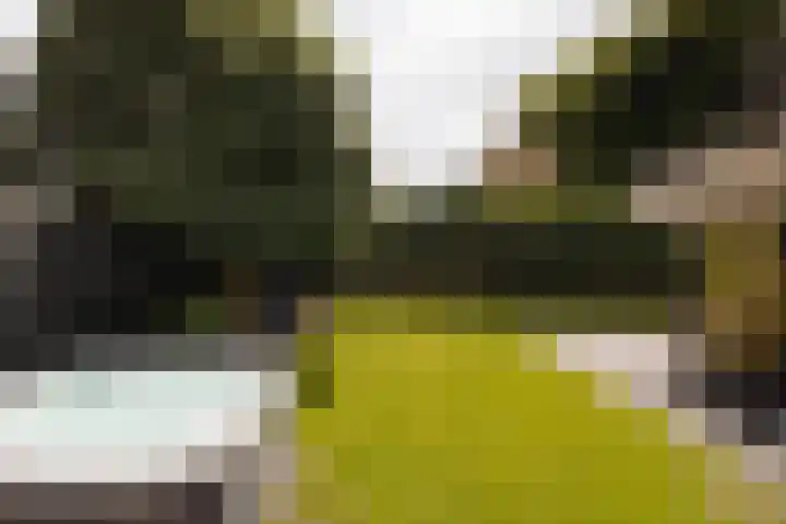Capittenweg 25 Blaricum thumbnail 28