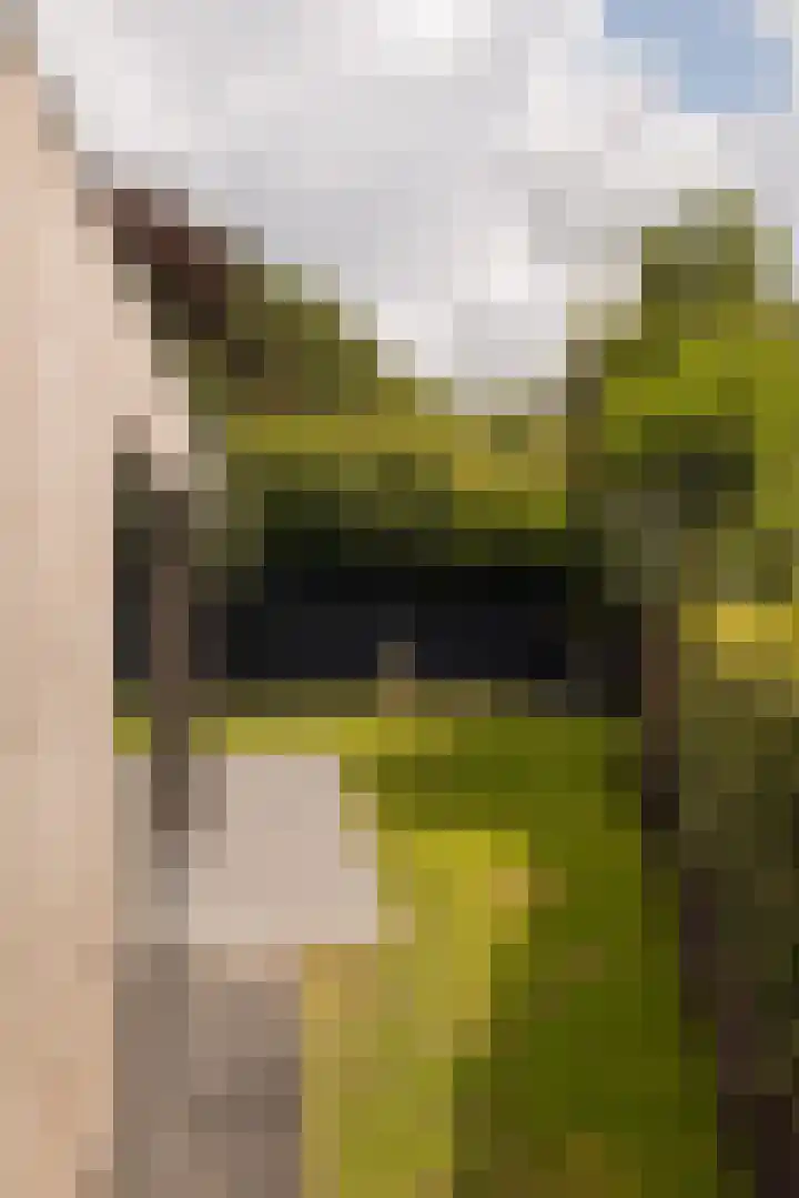 Capittenweg 25 Blaricum thumbnail 31