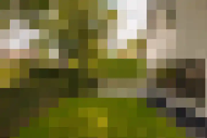 Capittenweg 25 Blaricum thumbnail 32