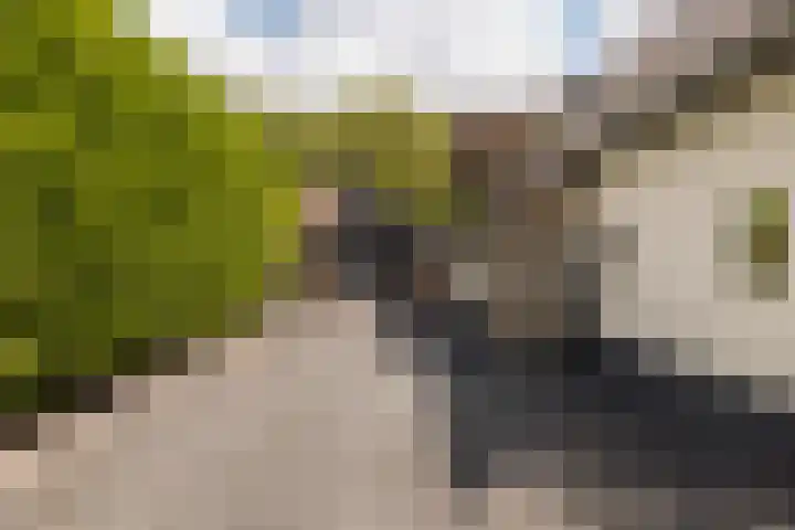 Capittenweg 25 Blaricum thumbnail 33