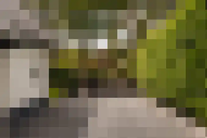 Capittenweg 25 Blaricum thumbnail 34