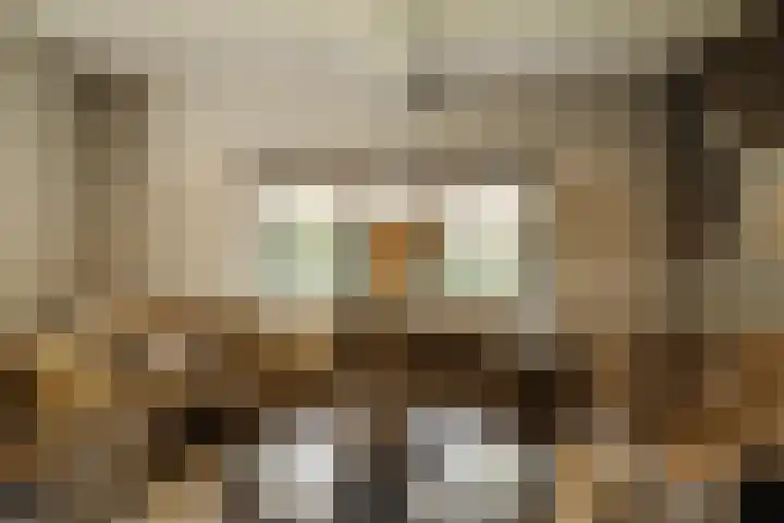 Capittenweg 25 Blaricum thumbnail 4