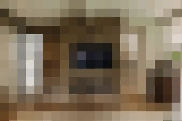Capittenweg 25 Blaricum thumbnail 7
