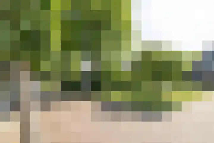 Capittenweg 36 a Blaricum thumbnail 39