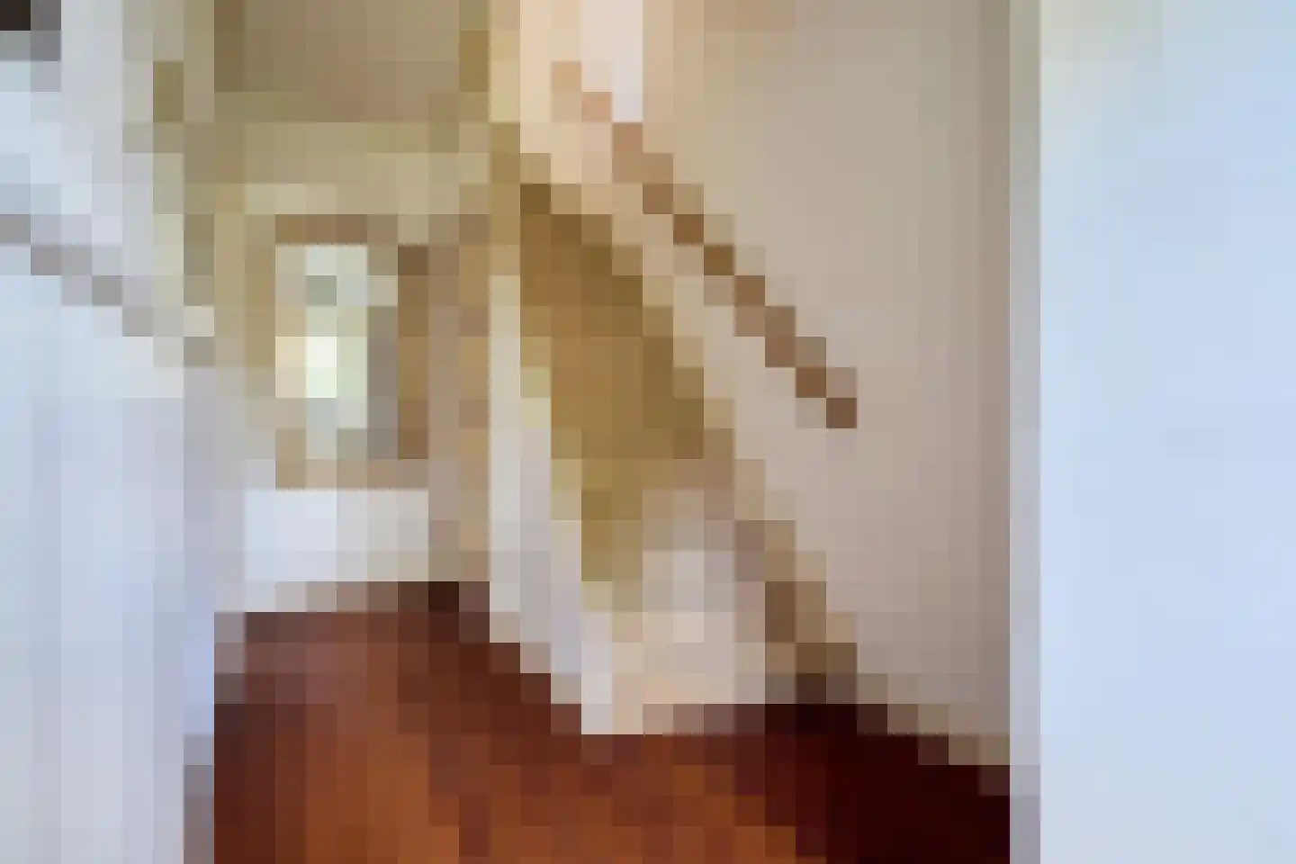 Capittenweg 7 Blaricum thumbnail 12