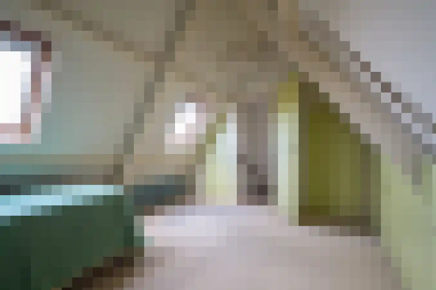 Capittenweg 7 Blaricum thumbnail 22