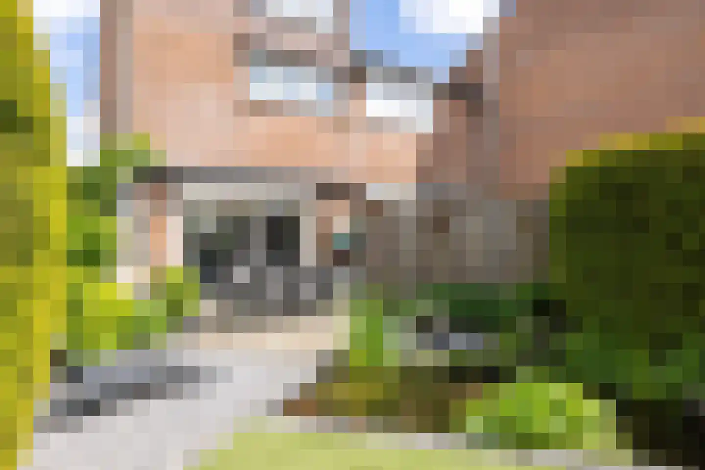 Caplei 32 Kerkrade thumbnail 41