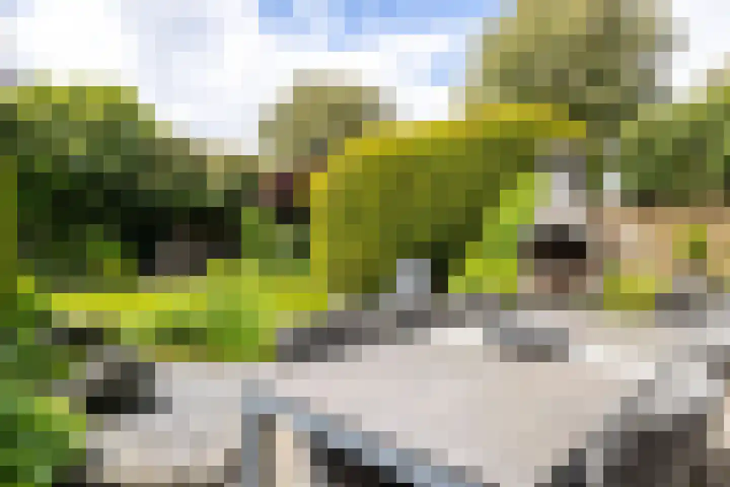 Caplei 32 Kerkrade thumbnail 42