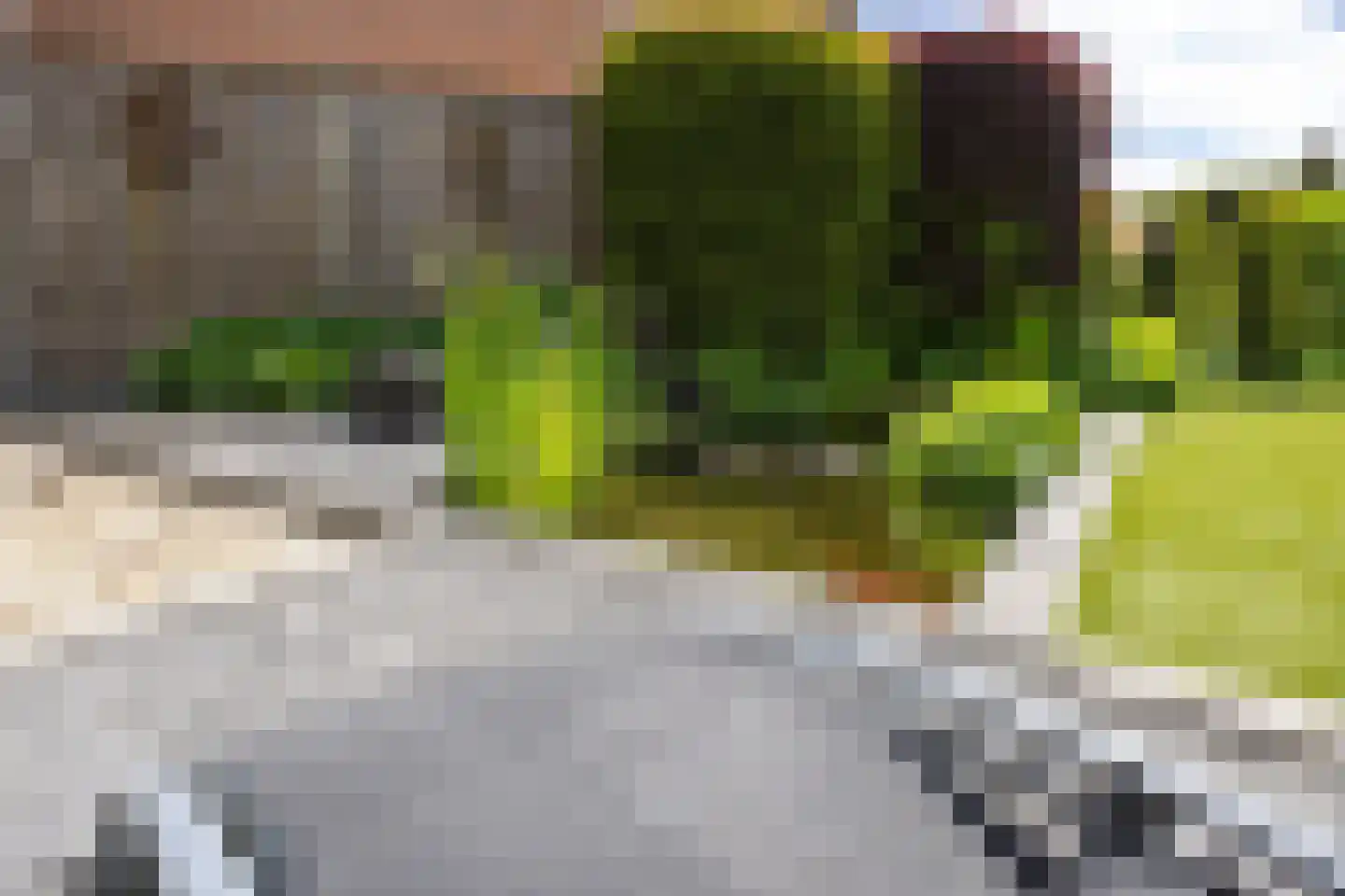 Caplei 32 Kerkrade thumbnail 44