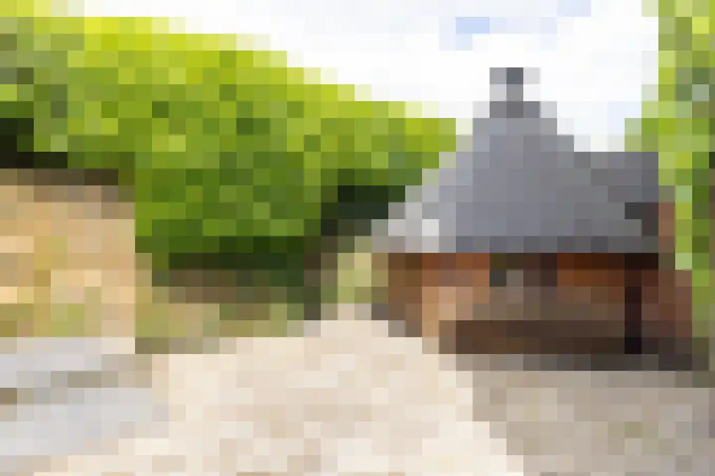 Caplei 32 Kerkrade thumbnail 46