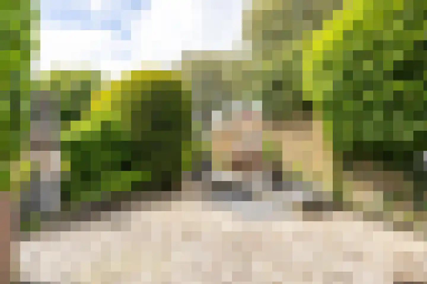 Caplei 32 Kerkrade thumbnail 47