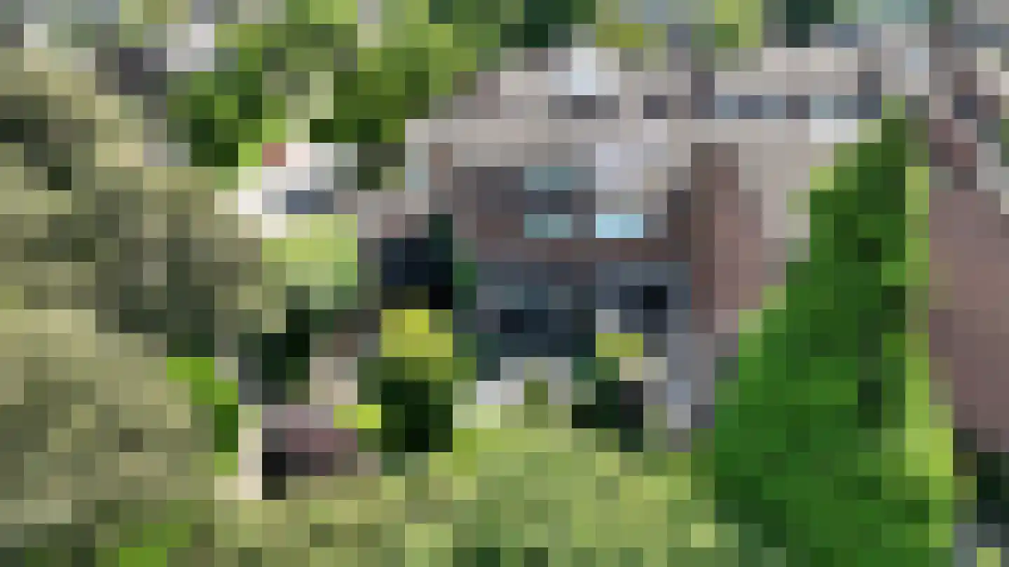 Caplei 32 Kerkrade thumbnail 51