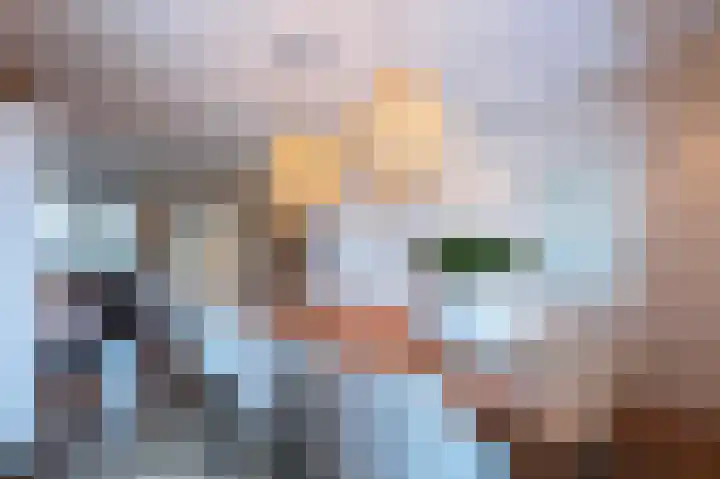 Cappelblok 20 Hoeven thumbnail 10