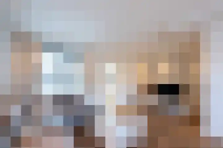 Cappelblok 20 Hoeven thumbnail 14