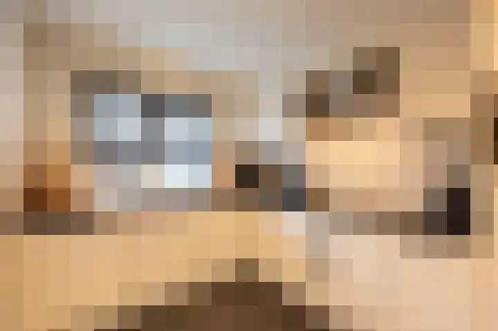 Cappelblok 20 Hoeven thumbnail 16