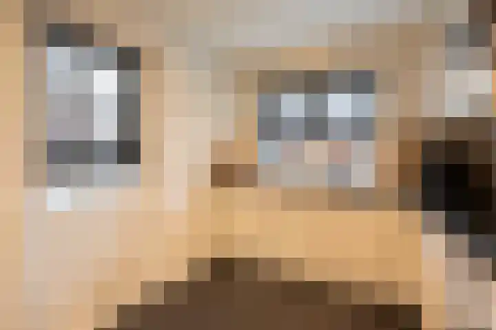 Cappelblok 20 Hoeven thumbnail 18