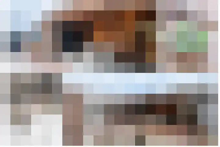 Cappelblok 20 Hoeven thumbnail 21