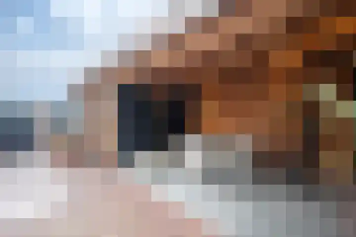 Cappelblok 20 Hoeven thumbnail 25
