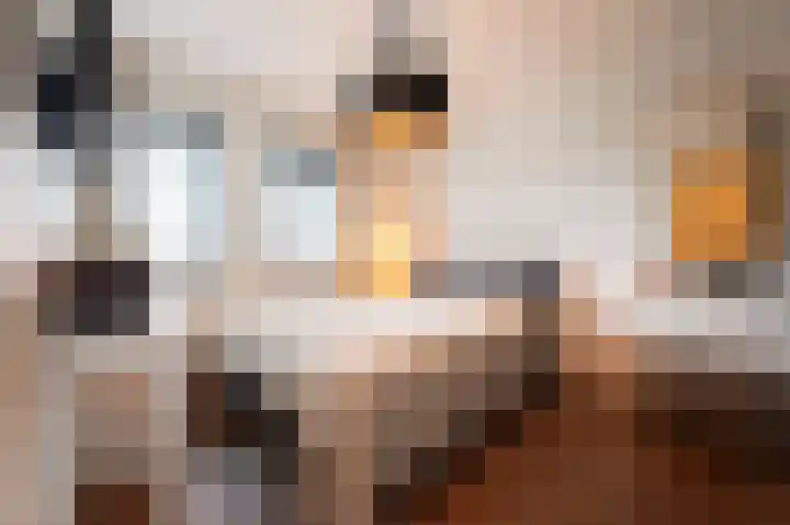 Cappelblok 20 Hoeven thumbnail 34