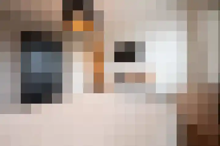 Cappelblok 20 Hoeven thumbnail 36