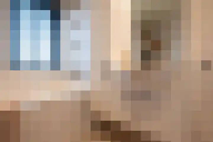 Cappelblok 20 Hoeven thumbnail 39