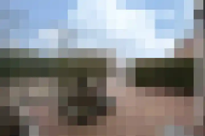 Cappelblok 20 Hoeven thumbnail 4